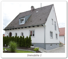 Immobilie 1